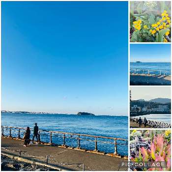 海岸散歩の画像 by nanairoFさん | お出かけ先と海岸散歩と穏やかな海と青い空と猿島とうっすらと富士山