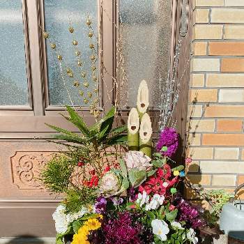 門松風寄せ植えの投稿画像一覧 Greensnap グリーンスナップ