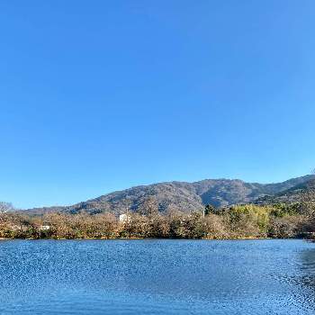 池の周りの画像 by ゆうちゃんさん | 散歩中と冬の風景と池の周り
