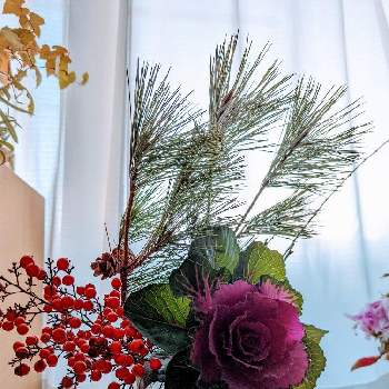 正月飾り花の画像 by たーぼー *さん | 窓辺とナンテンとハボタンとマツと正月飾り花とたーぼー*んちの出窓と冬だって好き