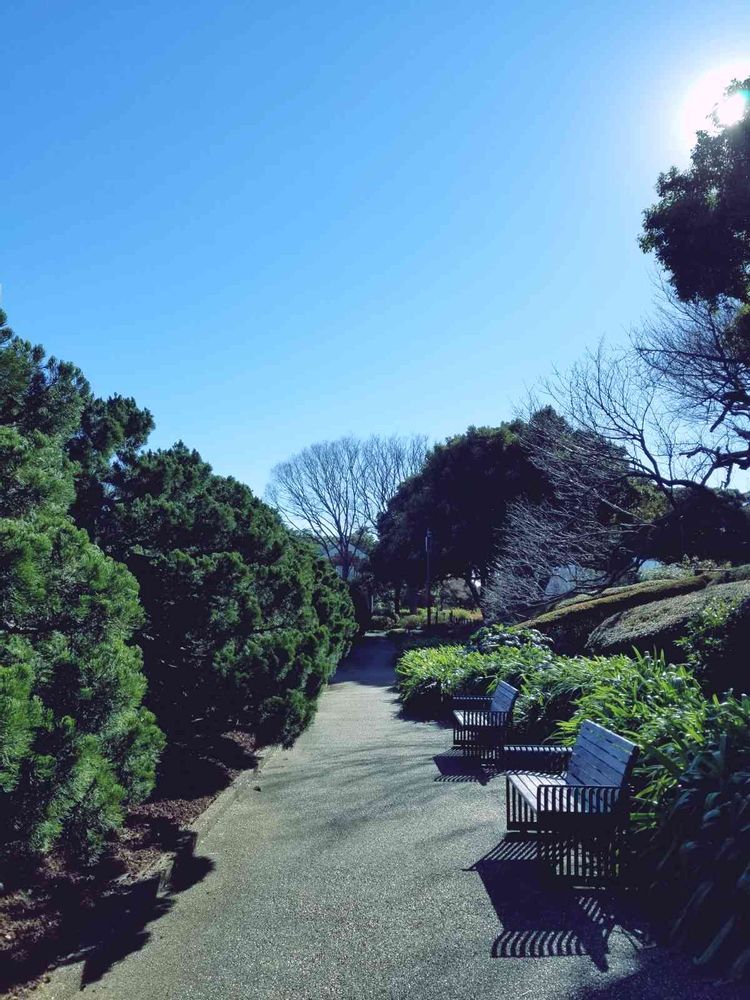 エリィさんの港の見える丘公園への投稿