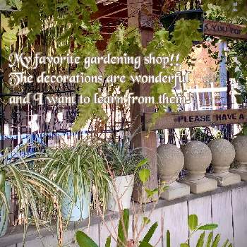 素敵!の画像 by tiramisuさん | インテリアとインテリアと植物とお気に入りの店と癒されると素敵!と憧れと飾りと欲しい