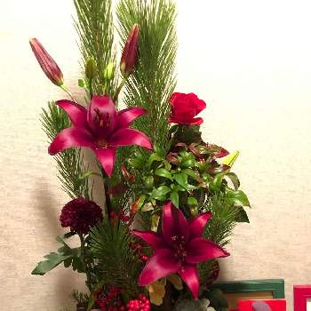 門松  の画像 by yamabooさん | エントランスとスカシユリと門松  とお正月と赤色
