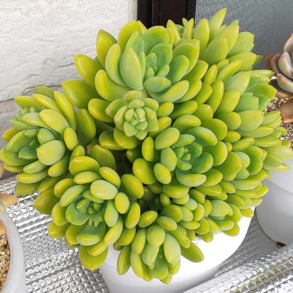 1641475375931_thum_569674_2022