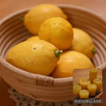 美味しそうの画像 by ぽむさん | 部屋とレモンと黄色い実と癒しと今年もと心ほっこりと美味しそう