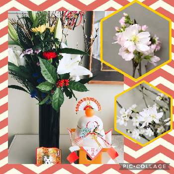 お正月の花の画像 by rinmegさん | 啓翁桜とお正月の花といつもありがとう♡と職場とGSのみなさんに感謝♡と花のある職場といきものがかり