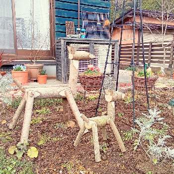 お庭づくりの画像 by サクラソウさん | パンジーと手作りの庭とナチュラルガーデンとDIYとガーデニングとお庭づくり