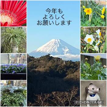 今年もよろしくお願いしますの画像 by coolpeechanさん | お出かけ先と富士山の見える景色と今年もよろしくお願いしますとチーム・ブルーNO.81と青い花で新年会2022とチーム・ブルー