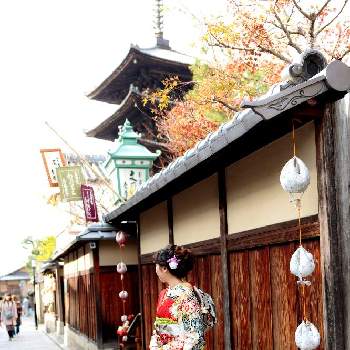 成人式の画像 by guriguraさん | 紅葉と成人式と感謝と散策と小さな幸せ♡と家族のイベントと京都と京都 東山