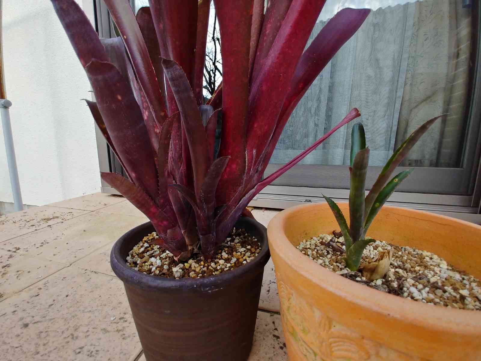 1641795811092_704442_20220110_