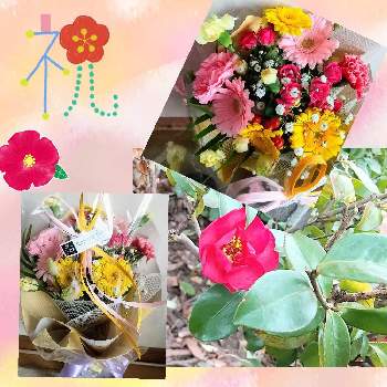  スプレーバラの画像 by ❀La’❁❀さん | お出かけ先とガーベラとツバキと成人式とカスミソウ♡とお祝いと癒される♡と植物のある暮らしと花束 ブーケとピンクの花とありがとう♡とGS映えとGS日和とおうち園芸と スプレーバラとかわぃぃ。とスプレーカーネーション♪と花のある暮らしとGS皆様ありがとうと椿 ツバキと ガーベラと花束と植物大好き