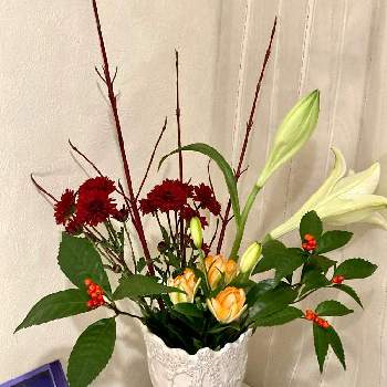 菊の花の画像 by lala0224さん | 玄関と菊の花と百合♡と南天ナンテン