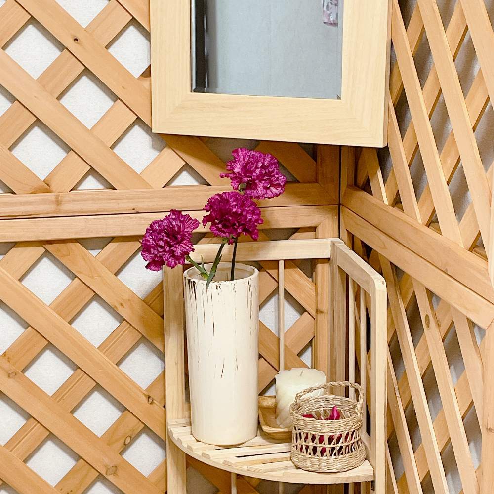 カーネーション 麝香撫子 の投稿画像 By Grace Placeさん インテリアと花言葉と花のある暮らしと誕生花とgs映えと花言葉と花 のある暮らしと誕生花とgs映え 22月1月11日 Greensnap グリーンスナップ Greensnap グリーンスナップ