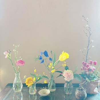 イクハナの画像 by lasfloresMariさん | 窓辺と今週の花たちとハナノヒとイクハナと切り花を楽しむと花のある生活と美しい花と癒しの空間と日比谷花壇のサブスクと花のある暮らしと幸せな時間