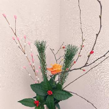 お正月飾りの画像 by サラダあられさん | 玄関と花のある暮らしと季節感と年末年始とお正月飾り
