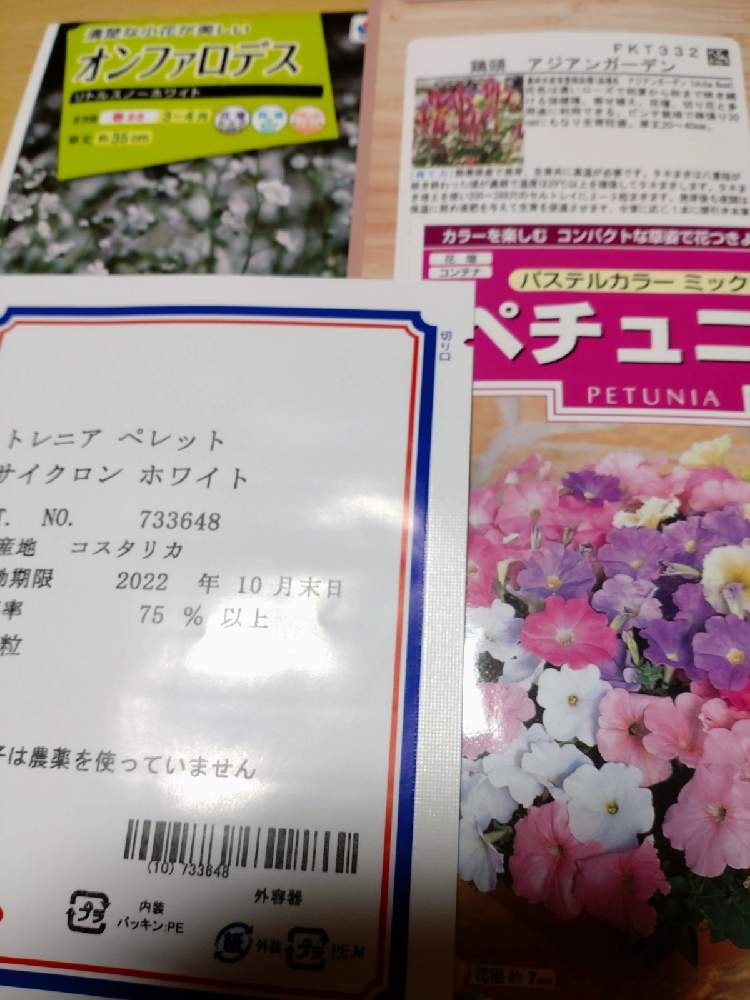 89円 いつでも送料無料 夏から秋まで楽しめる 切花用フラワー アタリヤ農園 花