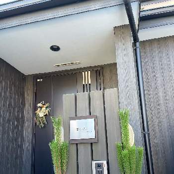 お正月の画像 by ぶうさん | 玄関と若松と門松  と季節の花とお正月と日本の四季と花のある暮らしとKaya