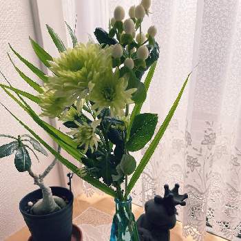 癒しの花の画像 by fumi*sanさん | 窓辺と癒しの色と花のある風景とお気に入り♡と思い出の花と癒しの風景と癒しの花と花いろいろとハート❤
