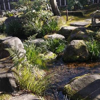 石同好会,姫路城,日本庭園,好古園,石の日の画像