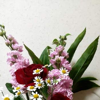 可愛いはなの画像 by rinoさん | 部屋と可愛いはなとピンクの花と元気を貰える花と癒しの花と花いろいろとバラが好きと黄色いお花とバラを楽しむ