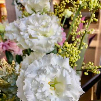 リシアンサス の投稿画像一覧 Greensnap グリーンスナップ