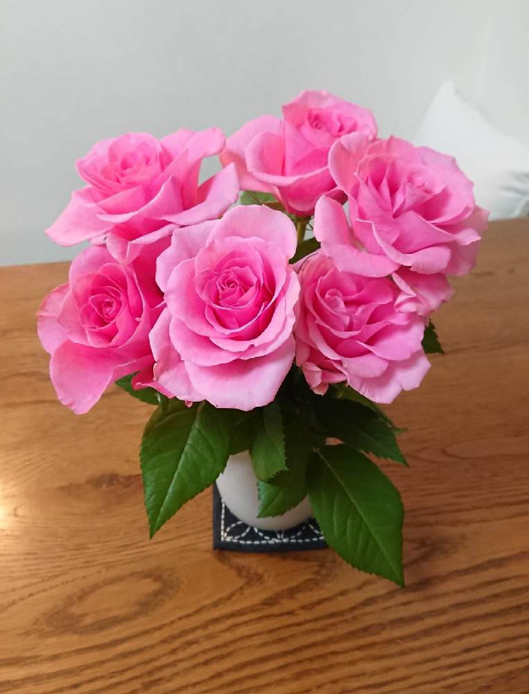 薔薇♡の投稿画像 by かほさん｜ばら バラ 薔薇とピンクの薔薇と花を飾ると観賞用と可愛いと園芸初心者とすくすく