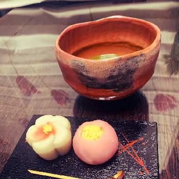 和菓子の画像 by EMIさん | インテリアとサザンカ(山茶花)と和菓子とうめのはなと花のある暮らしと季節の和菓子とおきにいりとお気に入りの器