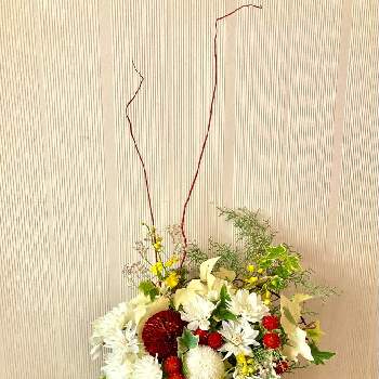 生けてみましたの画像 by みゃんさん | センニチコウ（千日紅）と菊（マム）とアイビーとオンシジウムと我が家の葉っぱと黄色い花と赤い花と生けてみましたと白い花♡