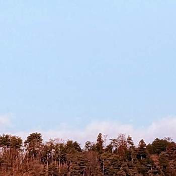 空✽の画像 by 秋草さん | 窓辺と木々と雲仲間と空✽と冬色✽