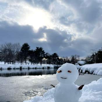 池のある風景の画像 by tomoさん | 池のある風景と野鳥のいる風景と公園散策と北海道からと冬の北海道と恵庭市と池のある公園と通りすがりと雪だるま