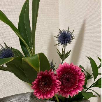 いけばな 生け花の画像 by manabeさん | お出かけ先とドラセナといけばな 生け花とエリンジウムと今日のお花と生け花のある暮らし