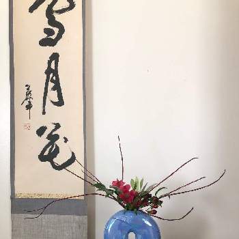ikebana in USAの画像 by sasukemama（T・Henty）さん | 部屋とフレッシュフラワーアレンジメントとIKEBANAとikebana in USAとラムズイヤー❁と生け花のある暮らしとsasukemama倶楽部と緑のある暮らしと花のある暮らしとヒペリカム❇︎とアメリカ在住とイタリアンラスカスとサンゴミズキ✨とアルストロメリア～と生け花