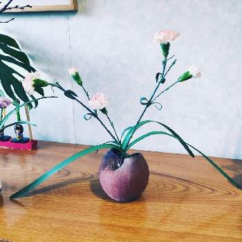 活け花の投稿画像一覧 Greensnap グリーンスナップ