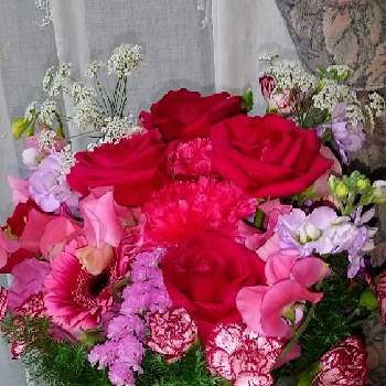 お花いろいろの投稿画像一覧 Greensnap グリーンスナップ