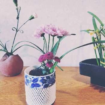 活け花の投稿画像一覧 Greensnap グリーンスナップ