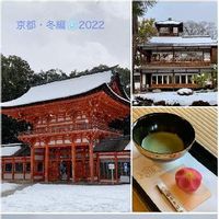 そうだ京都、行こう,鴨川,京都散策,雪景色,糺の森の小川の画像