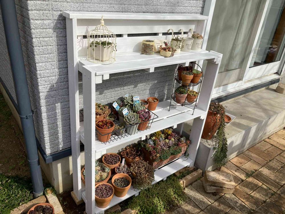 多肉棚DIYしてみた❣️｜🍀GreenSnap（グリーンスナップ） 
