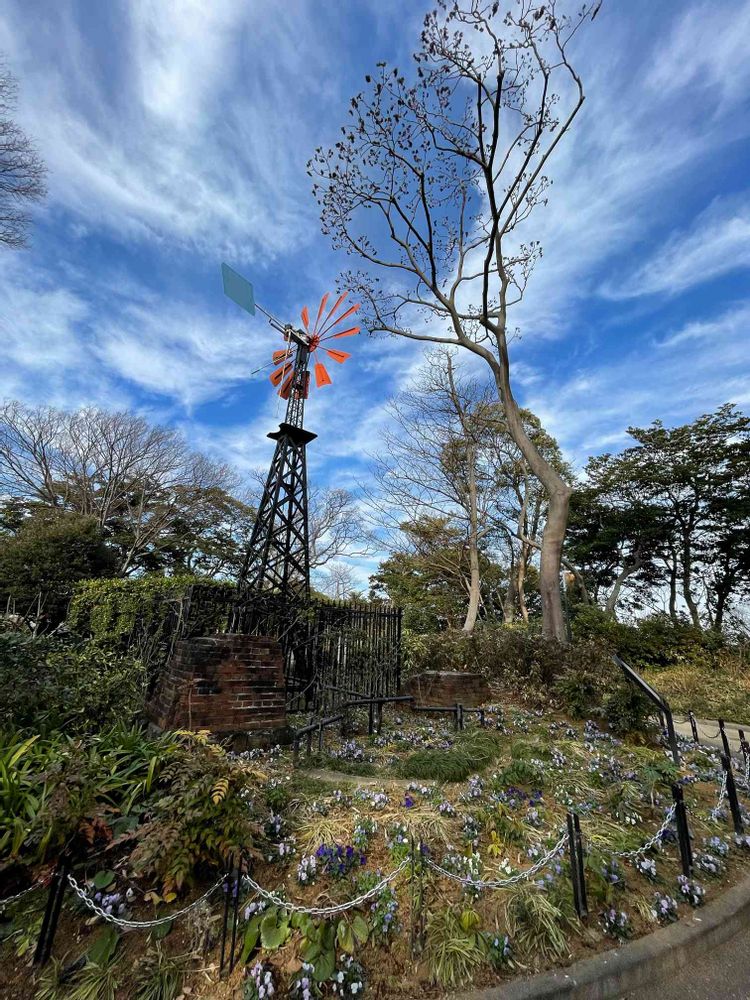 ミーシーさんの港の見える丘公園への投稿