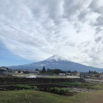 雑木林の画像 by ダンディ先生さん | 雑木林と巻層雲と 富士山