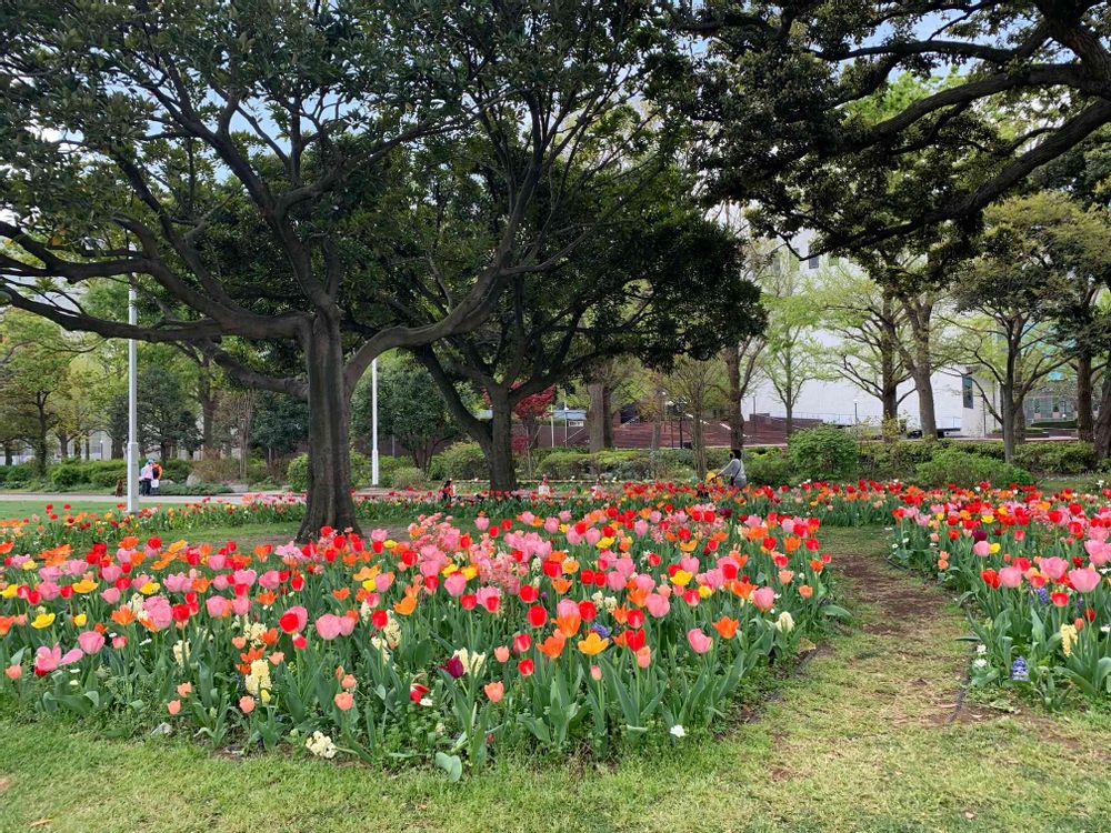 めいたんとママさんの山下公園への投稿