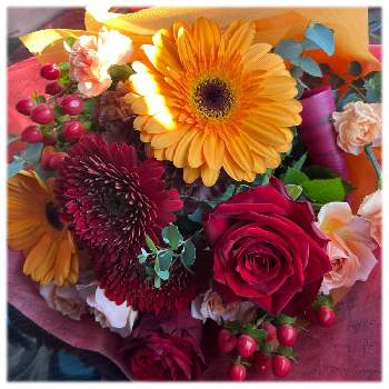 ヒペリカム,バラ,ガーベラ,赤い花,フラワーアレンジメントの画像