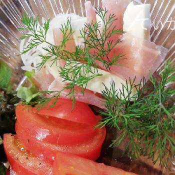 イノンドの投稿画像一覧 Greensnap グリーンスナップ