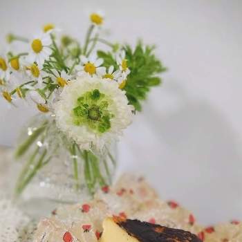 スイーツの画像 by •✴•❃　優雨　❃•✴•さん | 部屋とチーズケーキ★と休日とスイーツと❇︎ラナンキュラスと緑色の花と白い花とマトリカリア♡と小瓶