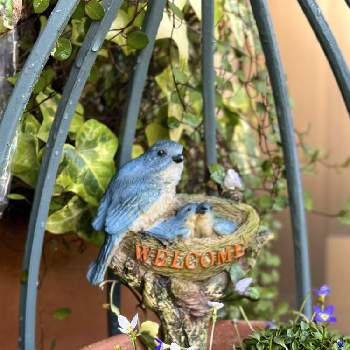 ガーデン雑貨（いきもの）の画像 by ぎんねこさん | 小さな庭とヒナソウとグリーンアクセサリー♪と可憐な花とひなそう♫と２０２０年５月同期とちっちゃいものクラブと鳥(飾り)とヒナソウ☆とガーデン雑貨（いきもの）