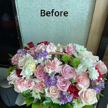こういう時こそお花を飾ろうの画像 by selinaさん | ピンクの花とコロナに負けるな！とこういう時こそお花を飾ろうと花のある暮らしと白い花と紫の花と海外暮らし