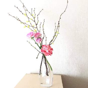 ヒメミズキの画像 by makiさん | 部屋とバラとカーネーションとヒメミズキと切り花と季節の花と花のある暮らしと彩り