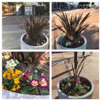 ニューサイラン,インテックス大阪の画像