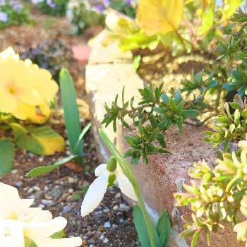 Int 7o4bhnue M Int 7o4bhnue M