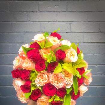 フラワーアーティストの画像 by F.O.Tさん | フラワーアーティストと花束 ブーケとローズとばら バラ 薔薇とピンクの花とピンクのバラ♡とフラワーとバラのある暮らしと美しい花とフラワーデザイナーと美しいとブーケとブーケ♡とピンク色の花と花のある暮らしとお花とバラ・ミニバラとフラワーギフトと切り花とフラワーデザイン