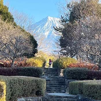  富士山の画像 by カコさん | お出かけ先とウメと 富士山と散歩道と冬景色と富士西公園と富士山